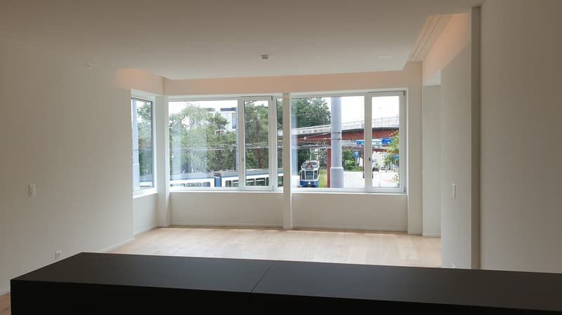 Appartamento moderno 1.5 locali con terrazza giardino a Bucheggplatz, area di ricreazione con bosco (6)