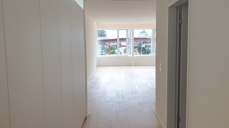 Appartamento moderno 1.5 locali con terrazza giardino a Bucheggplatz, area di ricreazione con bosco (3)