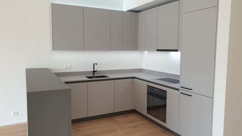 Appartamento moderno 1.5 locali con terrazza giardino a Bucheggplatz, area di ricreazione con bosco (5)