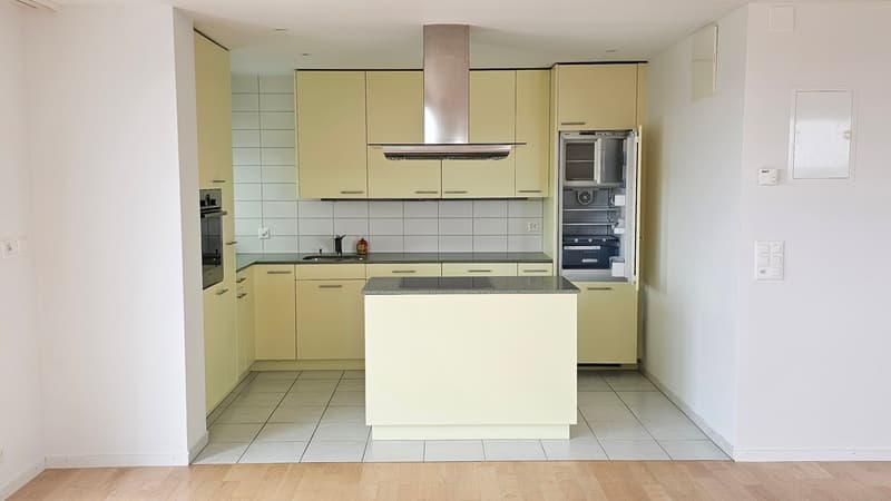 Moderne 3.5-Zimmer-Dachwohnung mit Stadtblick in Zürich am Bucheggplatz (4)
