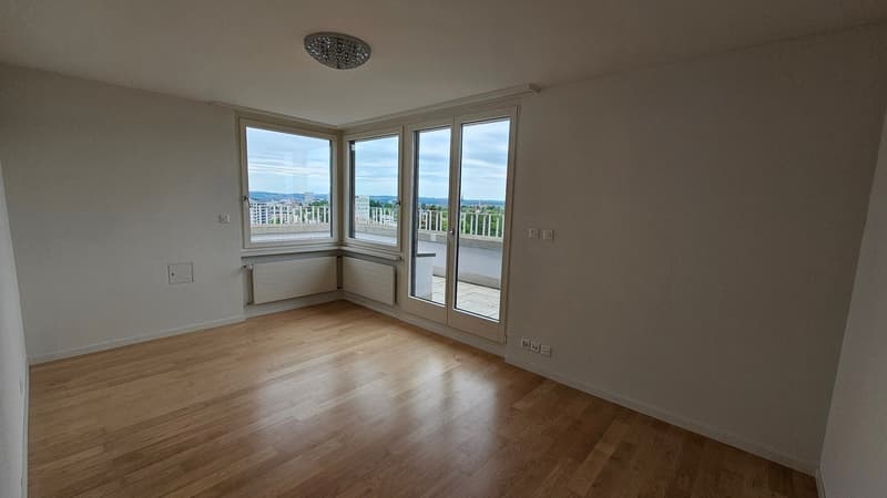 Moderne 3.5-Zimmer-Dachwohnung mit Stadtblick in Zürich am Bucheggplatz (16)