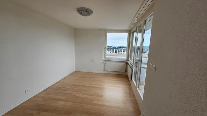 Cooled 3.5-room attic apartment with a view over Zurich at Bucheggplatz (17)