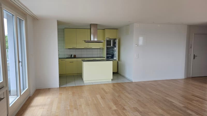 Cooled 3.5-room attic apartment with a view over Zurich at Bucheggplatz (3)