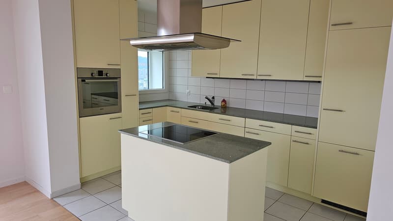 Cooled 3.5-room attic apartment with a view over Zurich at Bucheggplatz (5)