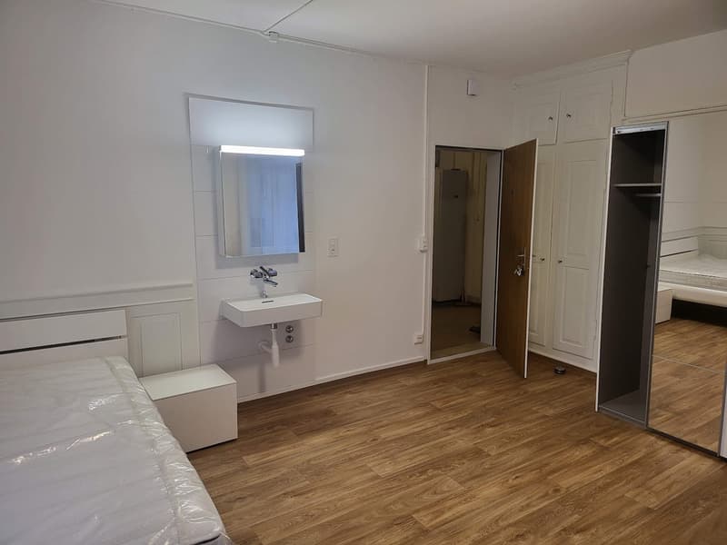 Grande chambre meublée rénovée à proximité de l'Université/ETH (12) (4)