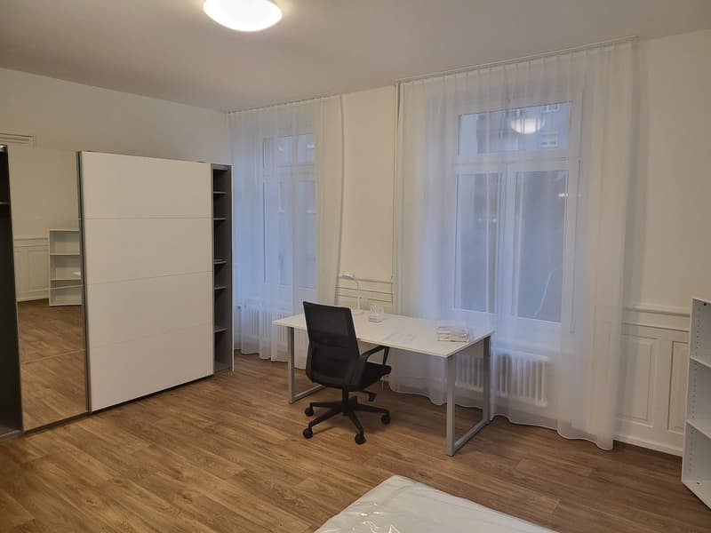 Grande chambre meublée rénovée à proximité de l'Université/ETH (12) (3)