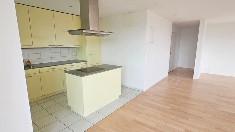 Gekühlte 3.5-Zimmer-Attikawohnung mit Blick über Zürich am Bucheggplatz (13)