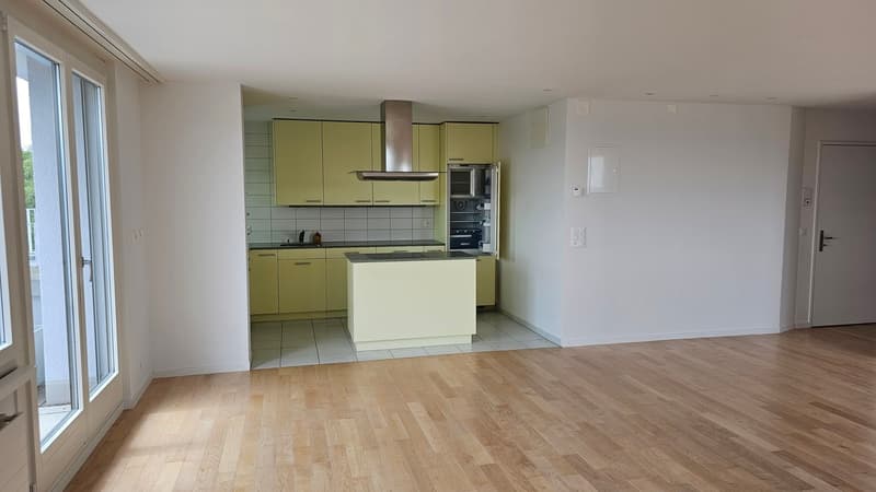 Gekühlte 3.5-Zimmer-Attikawohnung mit Blick über Zürich am Bucheggplatz (5)