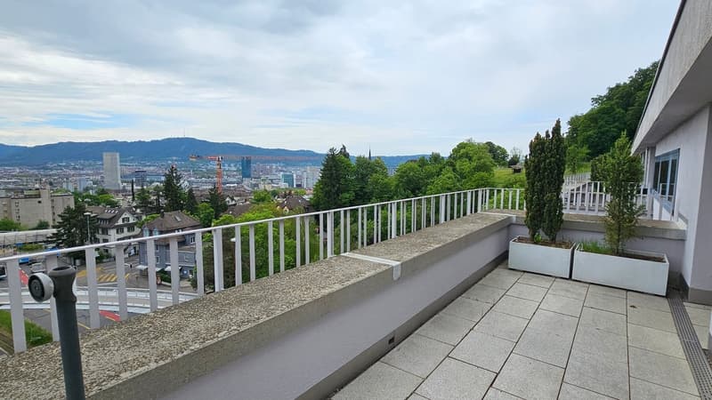 Gekühlte 3.5-Zimmer-Attikawohnung mit Blick über Zürich am Bucheggplatz (11)