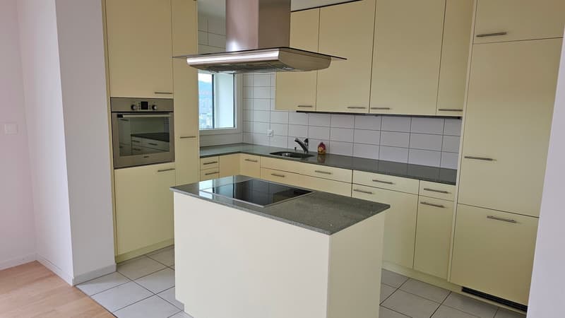 Gekühlte 3.5-Zimmer-Attikawohnung mit Blick über Zürich am Bucheggplatz (7)