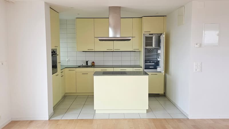 Gekühlte 3.5-Zimmer-Attikawohnung mit Blick über Zürich am Bucheggplatz (6)