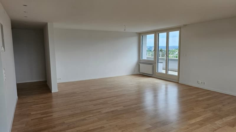 Gekühlte 3.5-Zimmer-Attikawohnung mit Blick über Zürich am Bucheggplatz (4)