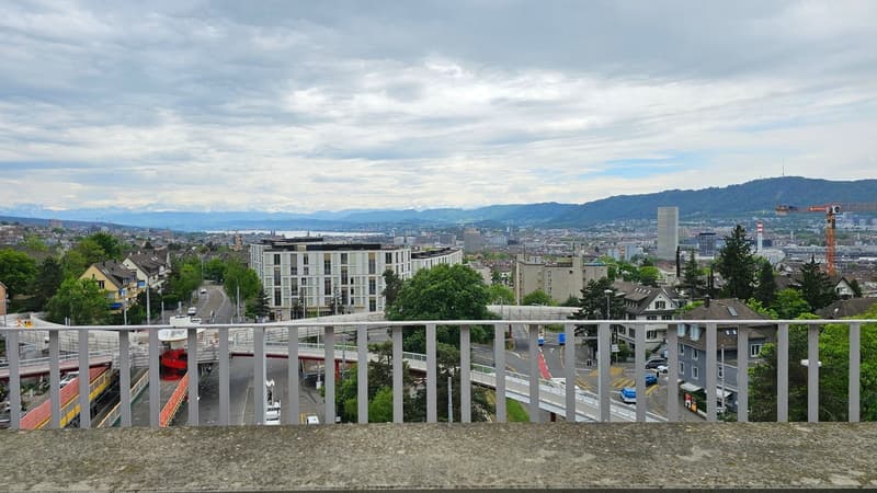 Gekühlte 3.5-Zimmer-Attikawohnung mit Blick über Zürich am Bucheggplatz (8)