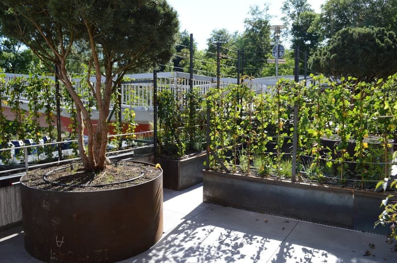 Gartenterrasse