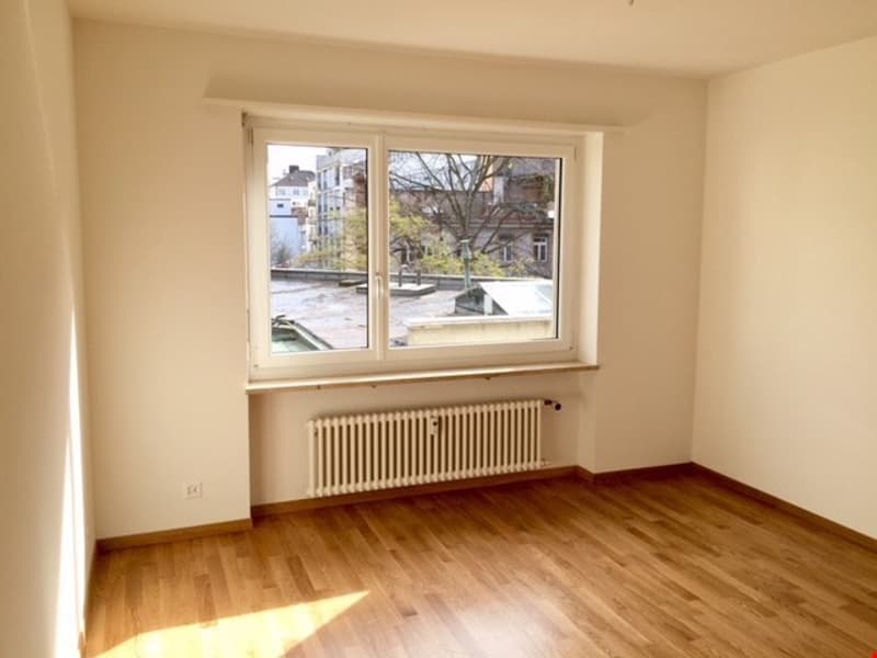 Appartamento luminoso di 3 locali con balcone e bella vista sul Claragraben, Basilea (4)