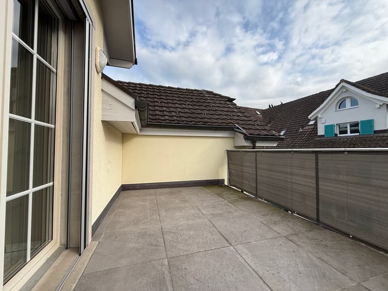Terrace with glass door, concrete floor, metal fence, sunny