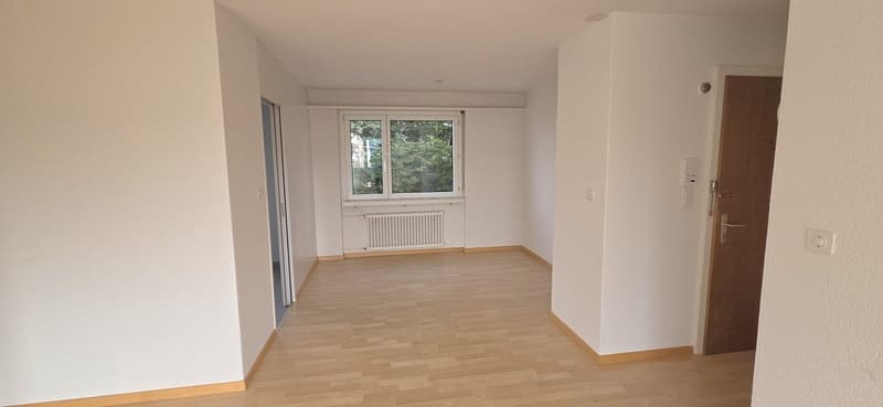 Empty room with white walls, wooden floor, a radiator, and an entrance door. The window lets in daylight and shows a tree outside.