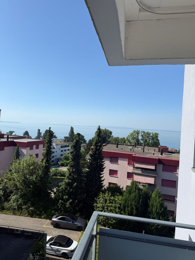 Charmante 4-Zimmer-Wohnung mit Balkon (Seesicht) in Rorschacherberg (1)