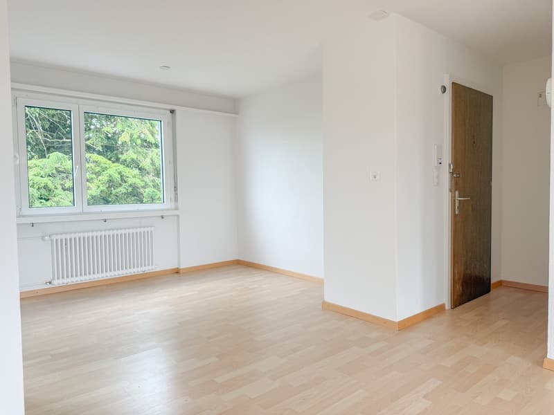 Charmante 4.5-Zimmer-Wohnung mit Balkon und schöner Aussicht in Rorschacherberg (5)