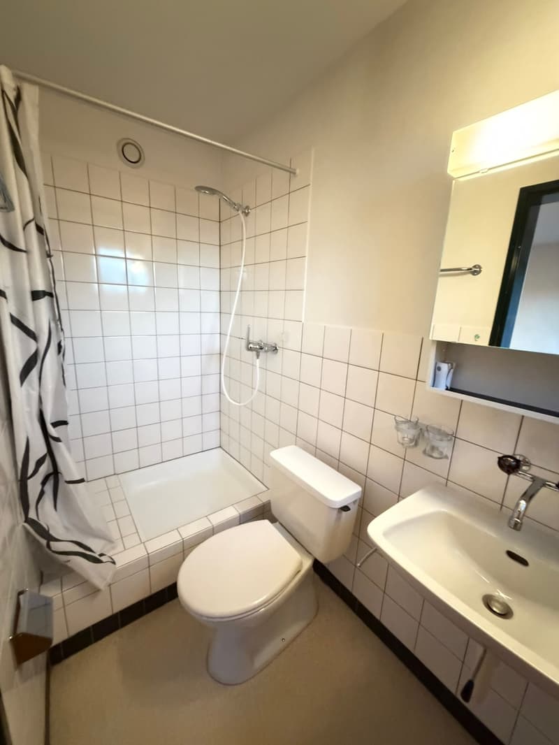 Gemütliche 1,5-Zimmerwohnung in Spiez (9)