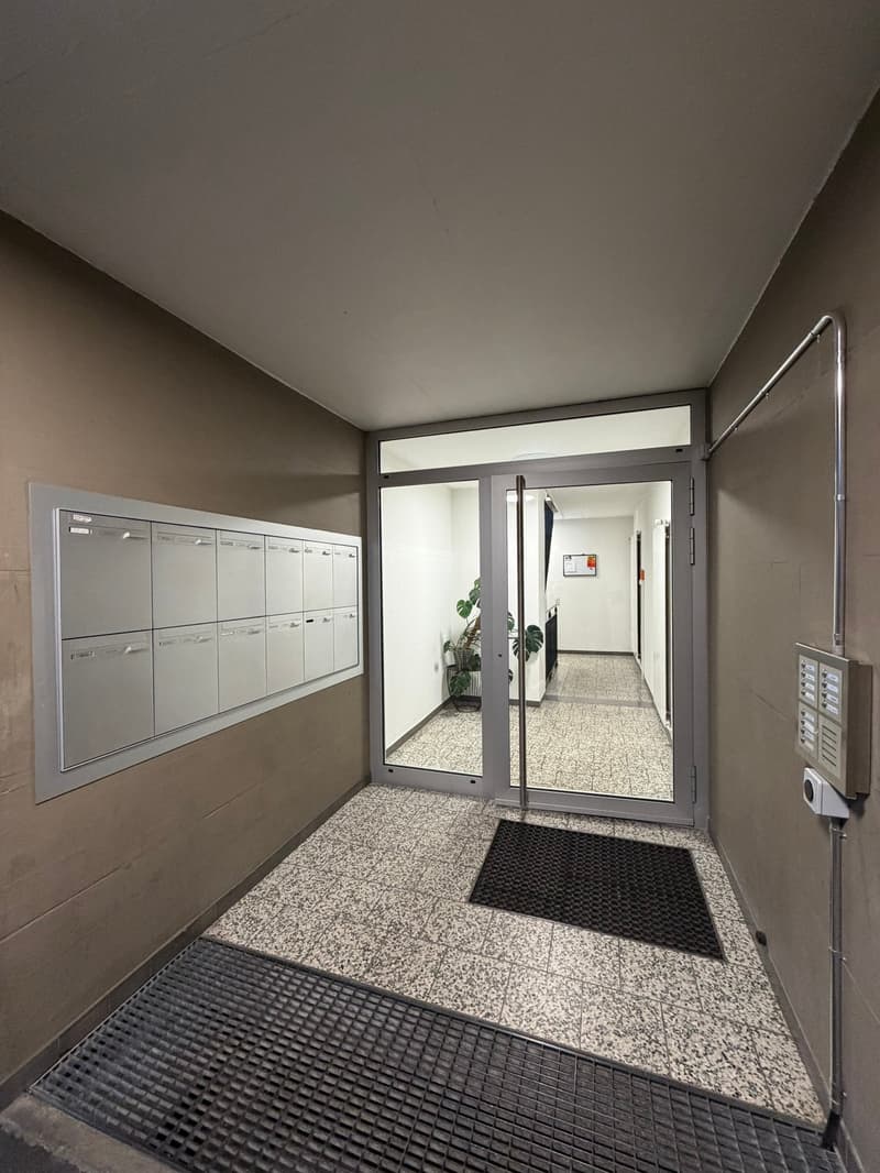 Gemütliche 1,5-Zimmerwohnung in Spiez (2)