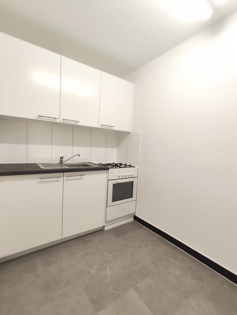 neu renovierte 1-Zimmerwohnung in Kleinbasel (4)