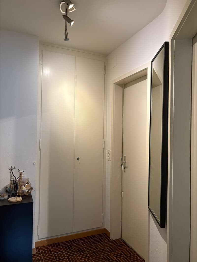 Appartamento nel cuore di Zurigo! (2)