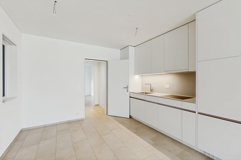 Appartamento moderno 2.5 locali con giardino in affitto e terrazza in legno a Zürich-Schwamen (6)