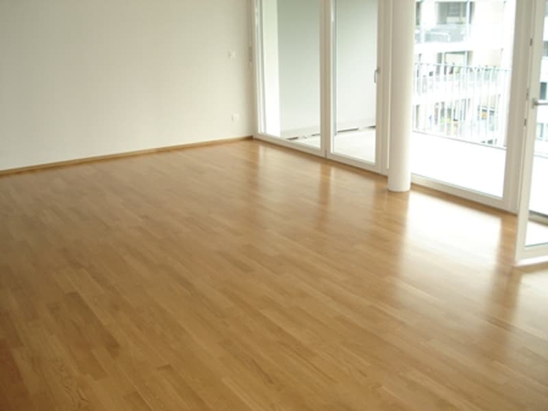 Helle, moderne, Wohnung mit sehr grossem Balkon 30.9m2 (5)