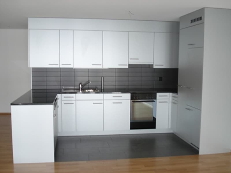 Helle, moderne, Wohnung mit sehr grossem Balkon 30.9m2 (2)
