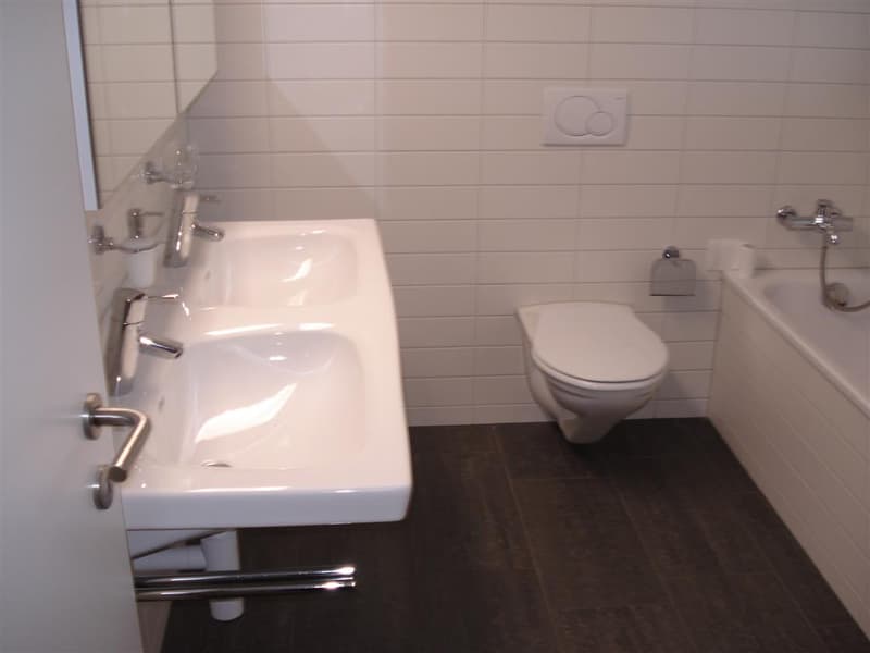 Helle, moderne, Wohnung mit sehr grossem Balkon 30.9m2 (3)