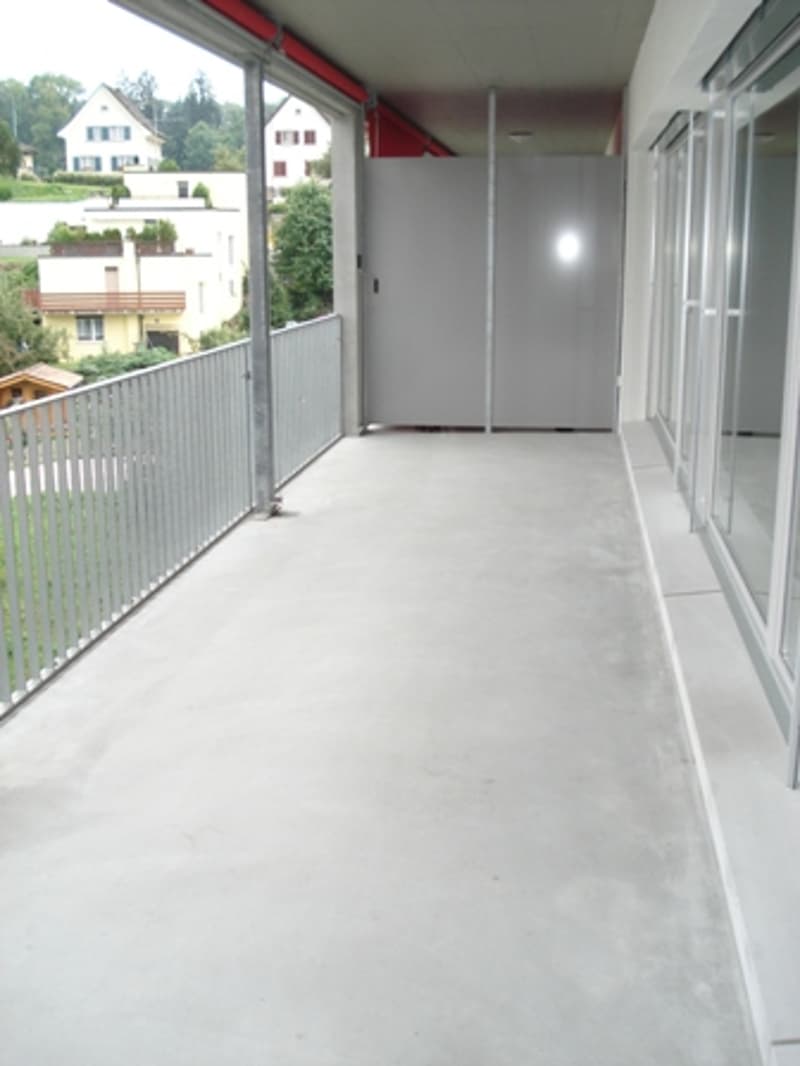 Helle, moderne, Wohnung mit sehr grossem Balkon 30.9m2 (7)