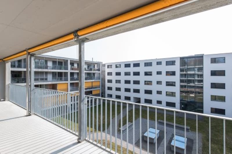 Absolute Traumwohnung nähe Bahnhof Wetzikon! (10)