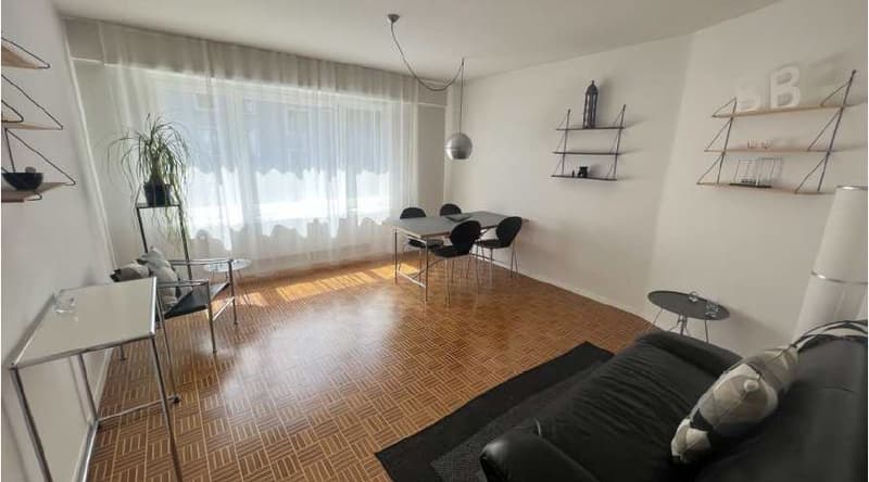 2 Zimmerwohnung 10 Gehminuten vom HB Zürich entfernt (6)