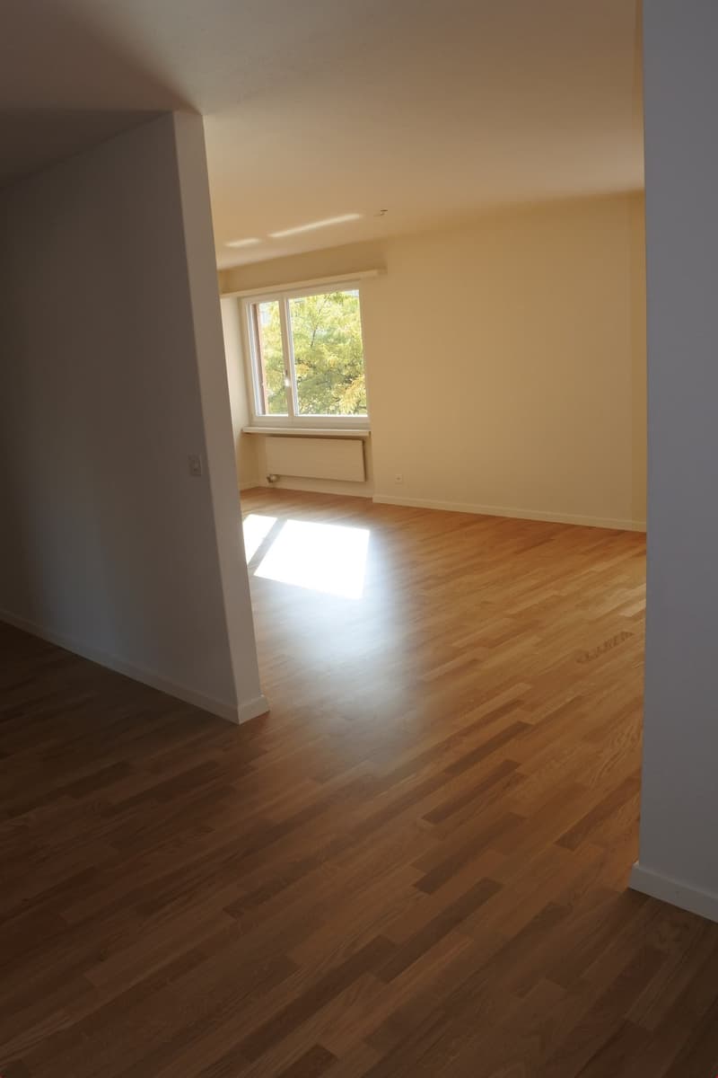 empty room, wooden floor, white walls, window with white frame, white ceiling
