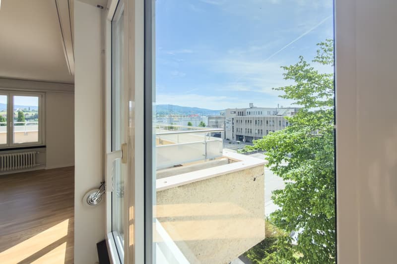 Schöne helle 4.5-Zimmer-Attikawohnung mit Terrasse (20)