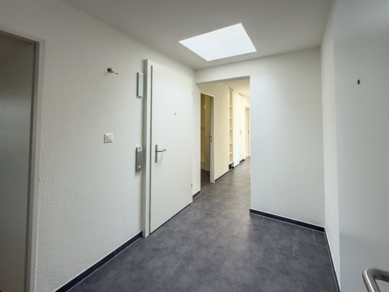Schöne helle 4.5-Zimmer-Attikawohnung mit Terrasse (30)