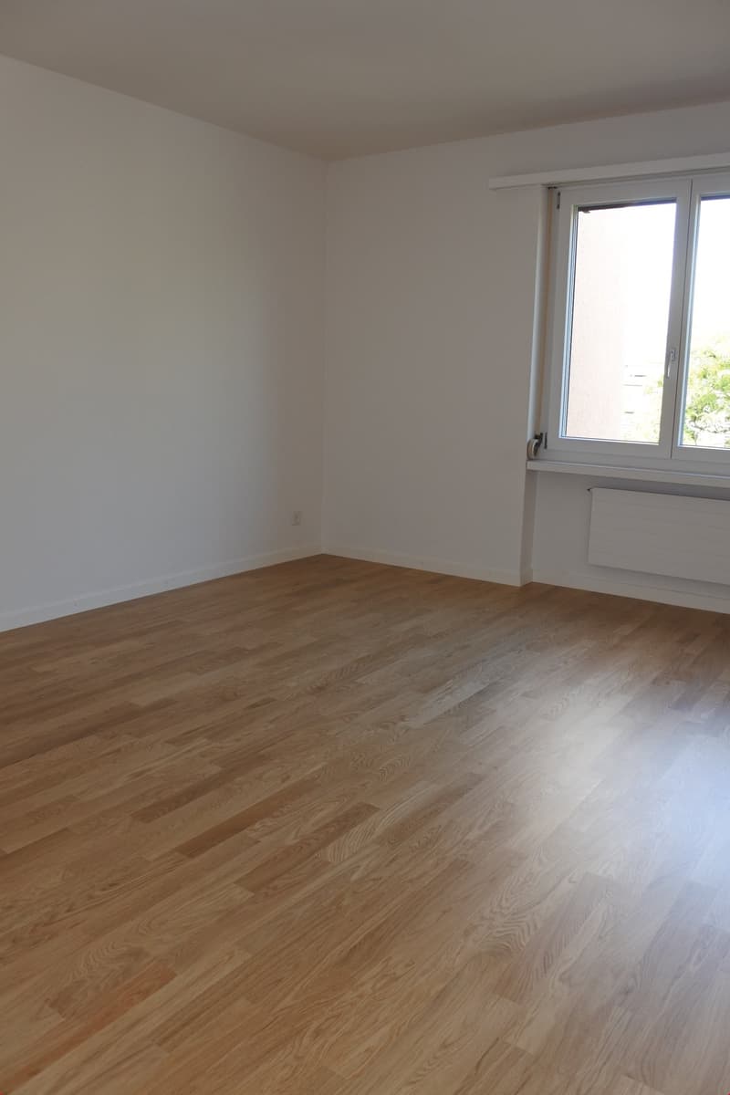 empty room, wooden floor, white walls, window, power outlet, radiator