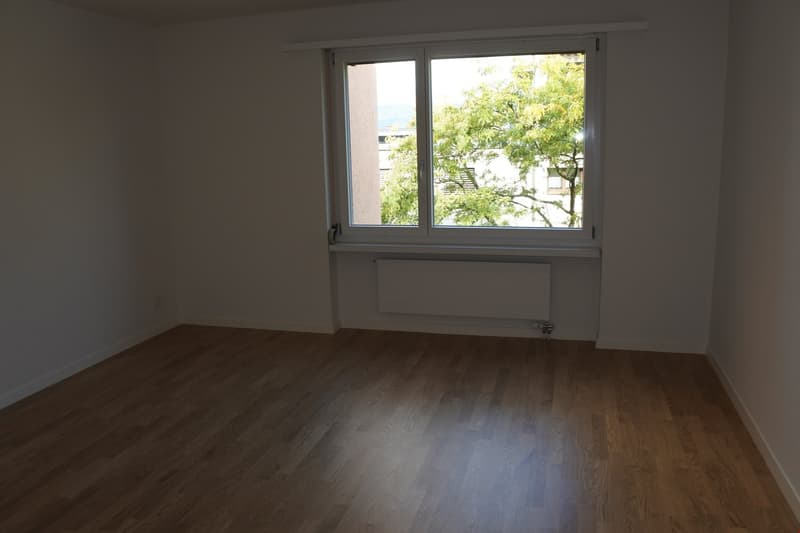 empty room, wooden floor, white walls, large window, white radiator