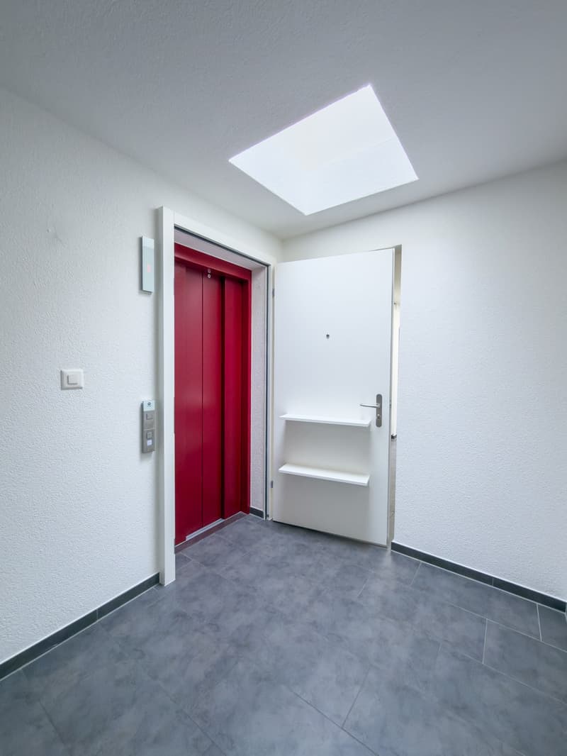 Schöne helle 4.5-Zimmer-Attikawohnung mit Terrasse (44)