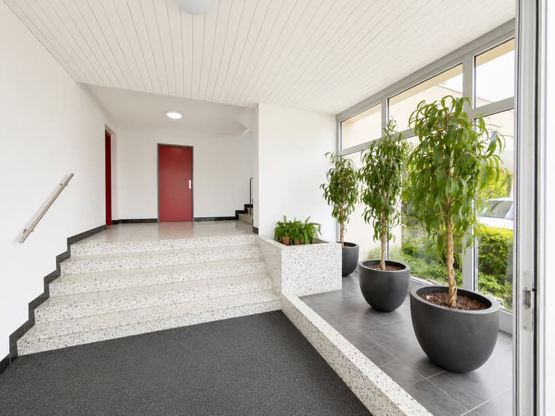 Schöne helle 4.5-Zimmer-Attikawohnung mit Terrasse (46)