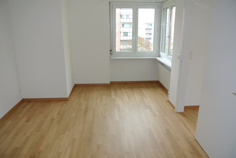 Bello appartamento luminoso, 2,5 locali (12)
