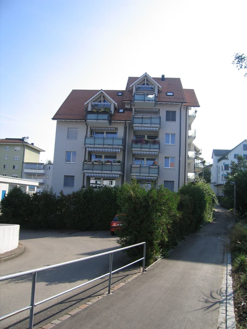 Garagenparkplätze in Schlieren zu vermieten (1)