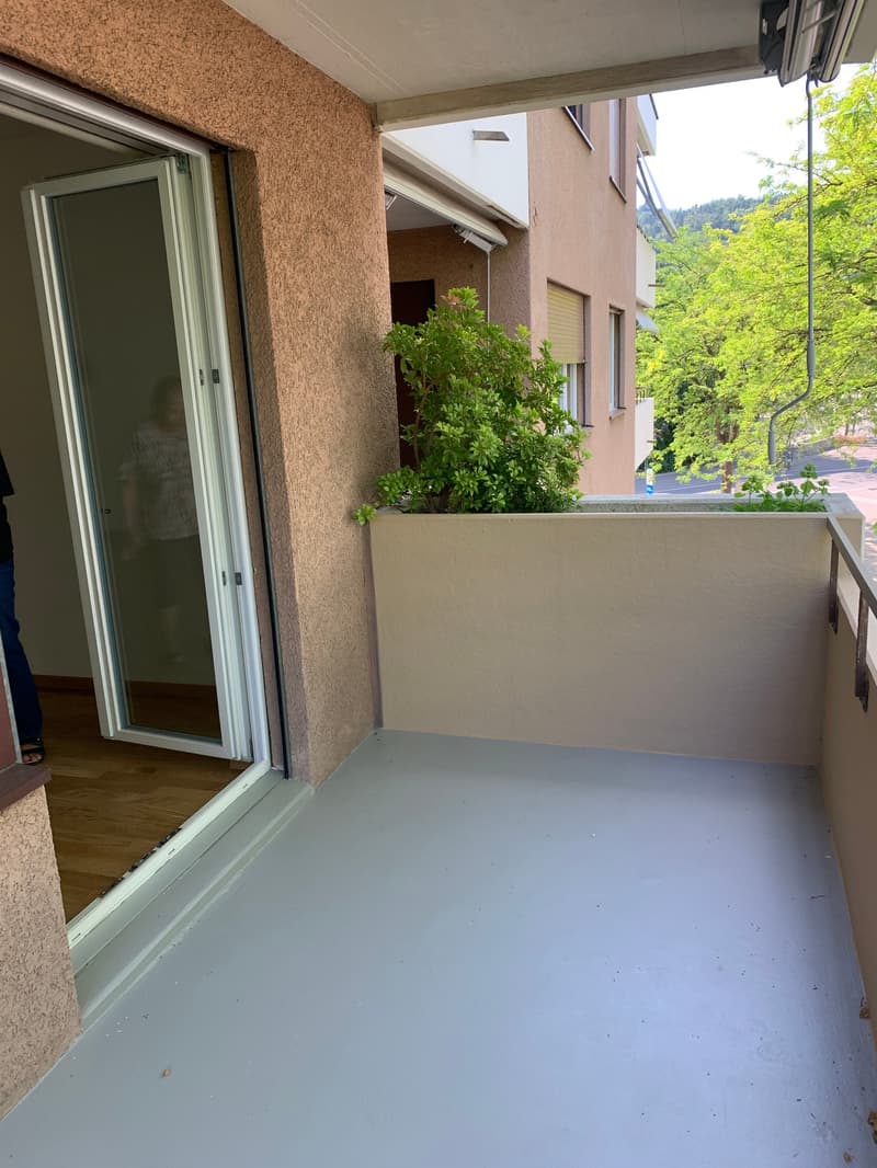 3 Zi. Terrassenwohnung, stadtnah, an sehr guter Lage! (17)