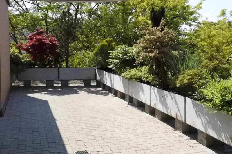3 Zi. Terrassenwohnung, stadtnah, an sehr guter Lage! (1)