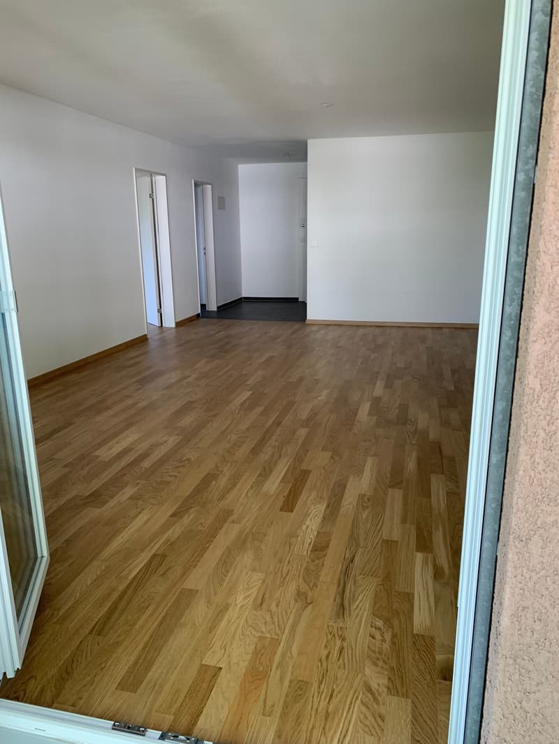 3 Zi. Terrassenwohnung, stadtnah, an sehr guter Lage! (16)