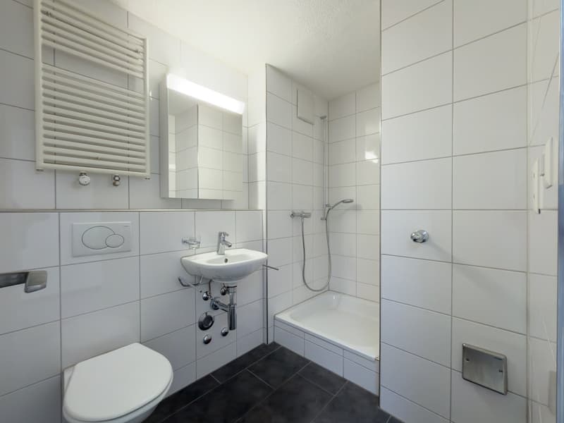 Schöne helle 4.5-Zimmer-Attikawohnung mit Terrasse (18)