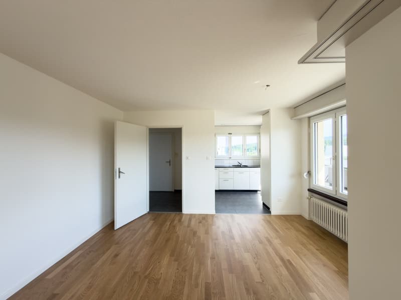 Schöne helle 4.5-Zimmer-Attikawohnung mit Terrasse (9)