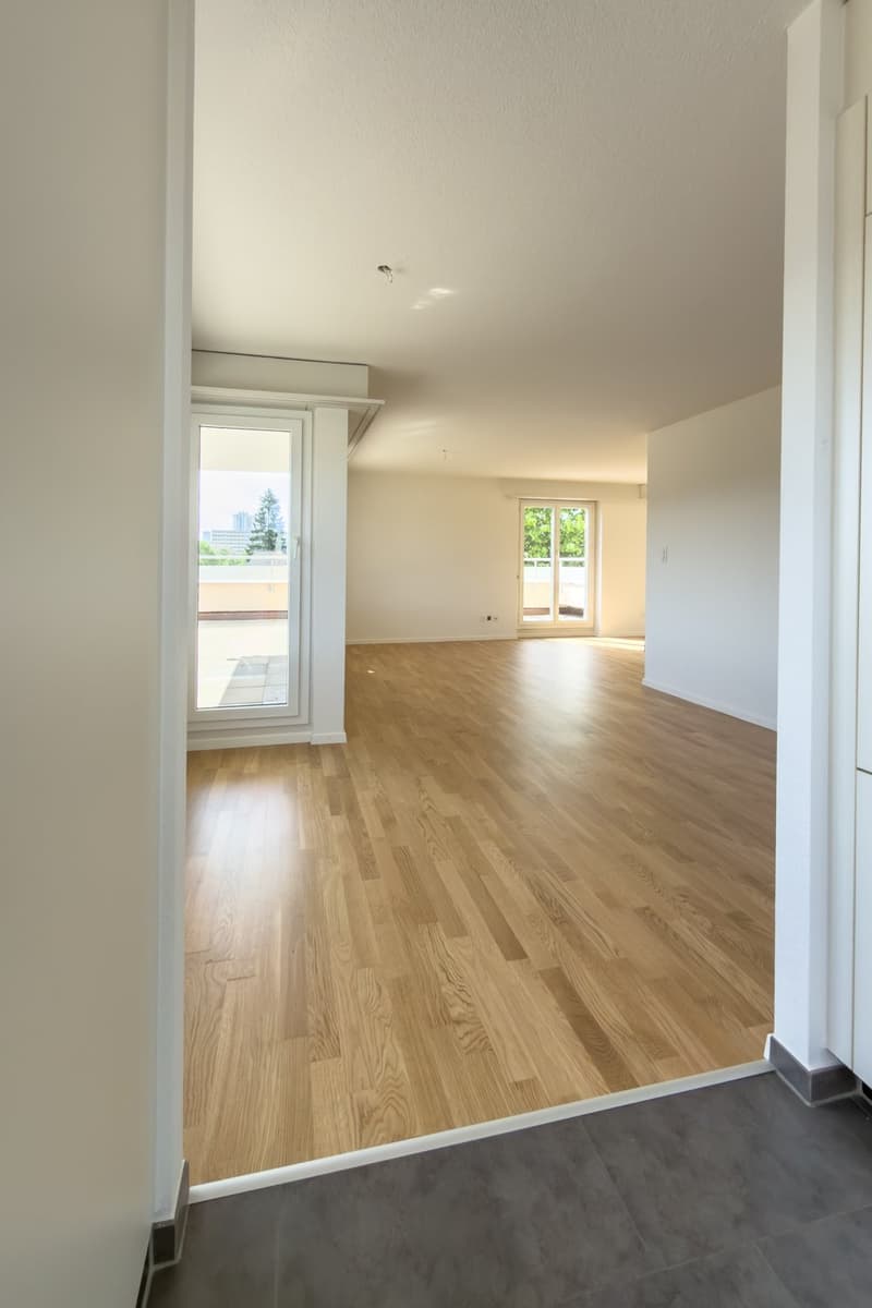 Schöne helle 4.5-Zimmer-Attikawohnung mit Terrasse (11)