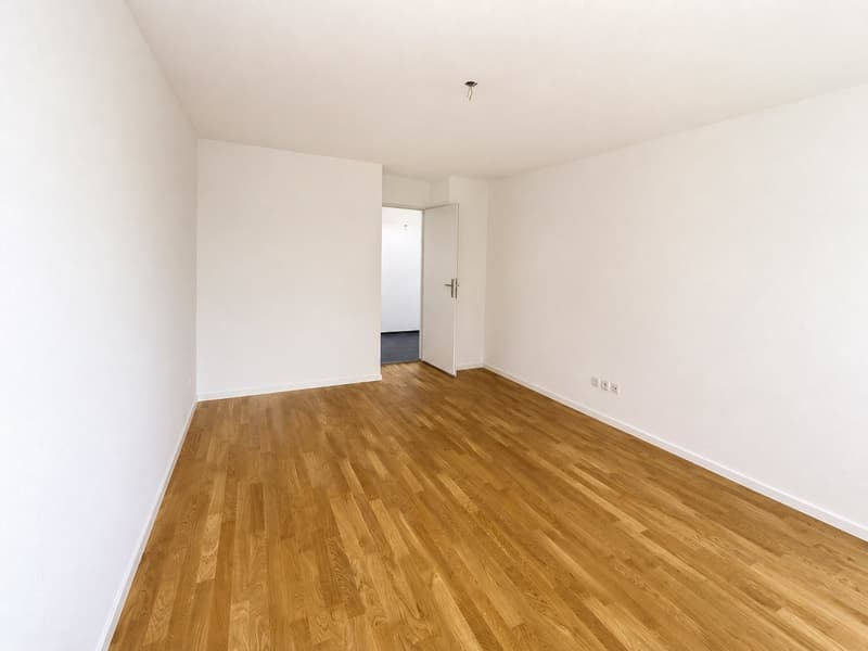 Schöne helle 4.5-Zimmer-Attikawohnung mit Terrasse (30)